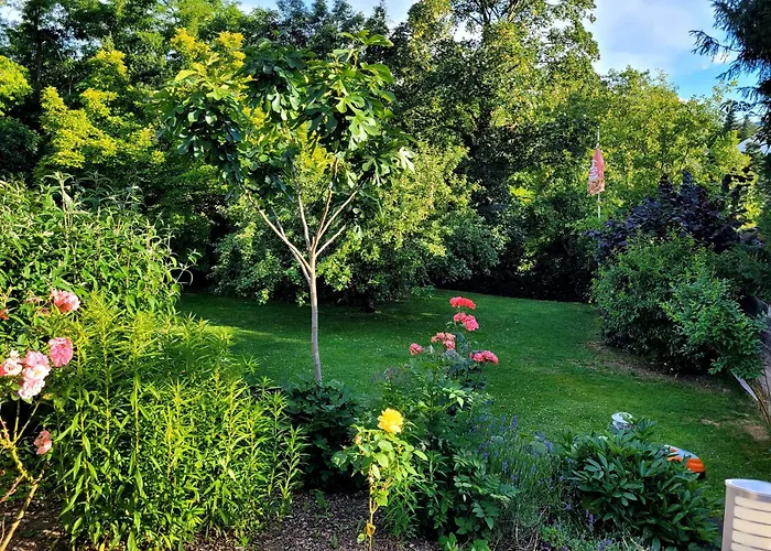 Brixius * كوبلنس